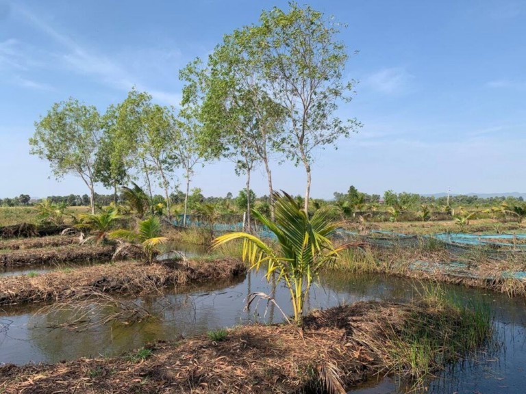 ប្រជាពលរដ្ឋ​រស់នៅ​ខេត្ត​កែប​បាន​ផ្អាក​មុខរបរ​ចិញ្ចឹម​ក្តាម​ថ្ម ប​ង្គា និង​ត្រី​សមុទ្រ ក្រោយ​មាន​ភាពចម្រូងចម្រាស​រឿង​ដីធ្លី ត្រូវបាន​ស​-​ជ​-​ណ មួយ​បាន​ចេញ​គ្រាប់​សណ្ដ​ប់ ពីលើ​ដែល​ធ្លាប់​កាន់កាប់​និង​អាស្រ័យ​ផល​